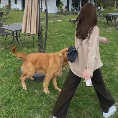 爱上尸新娘